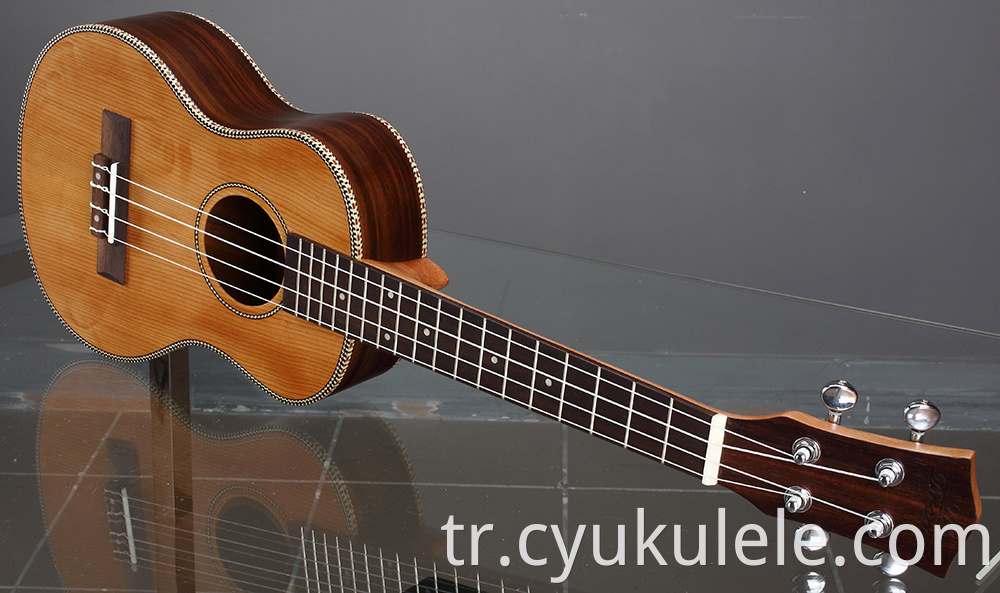 ukulele19